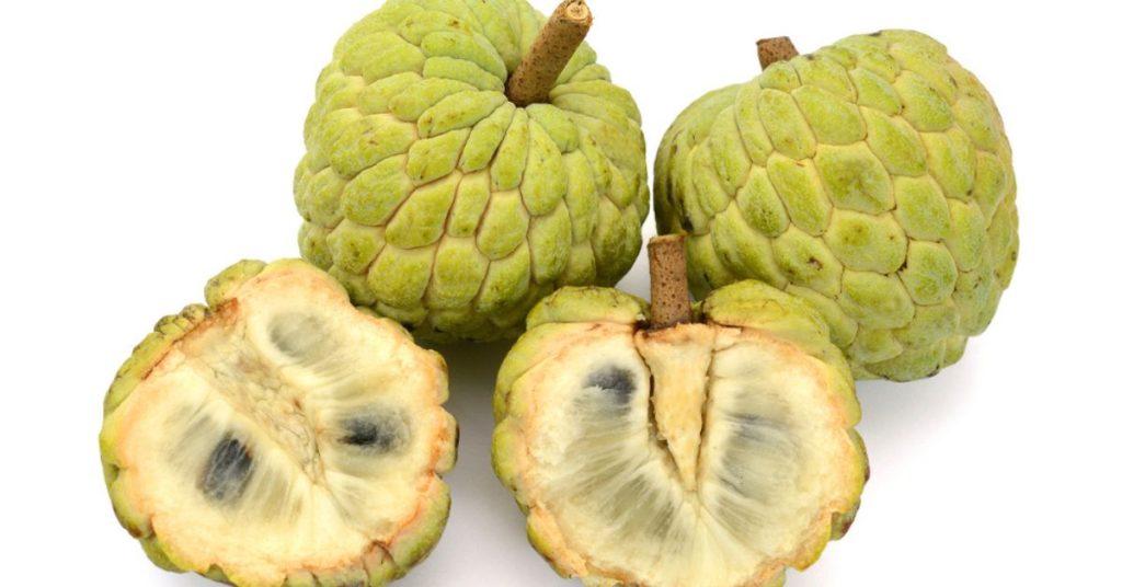 Sugar apple