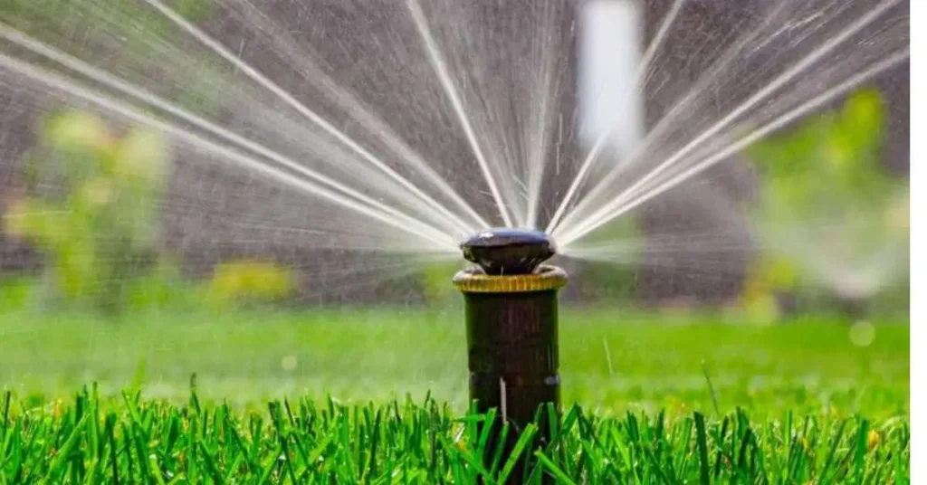 Rain Gun Irrigation vs Sprinkler Irrigation 