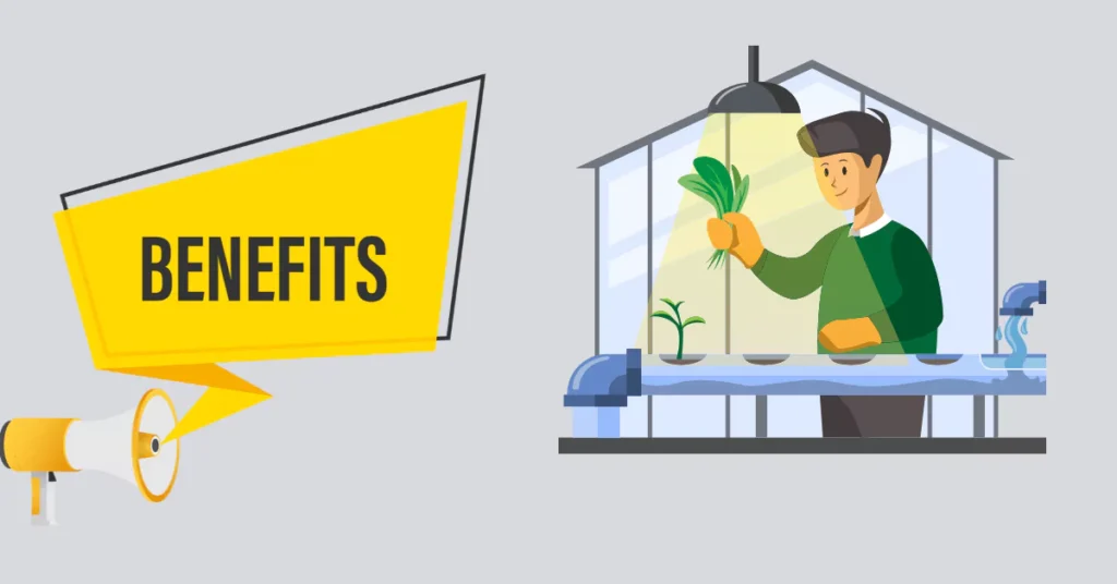 The Beginner's Guide to Hydroponic System Gardening Benefit of hydroponic system farming