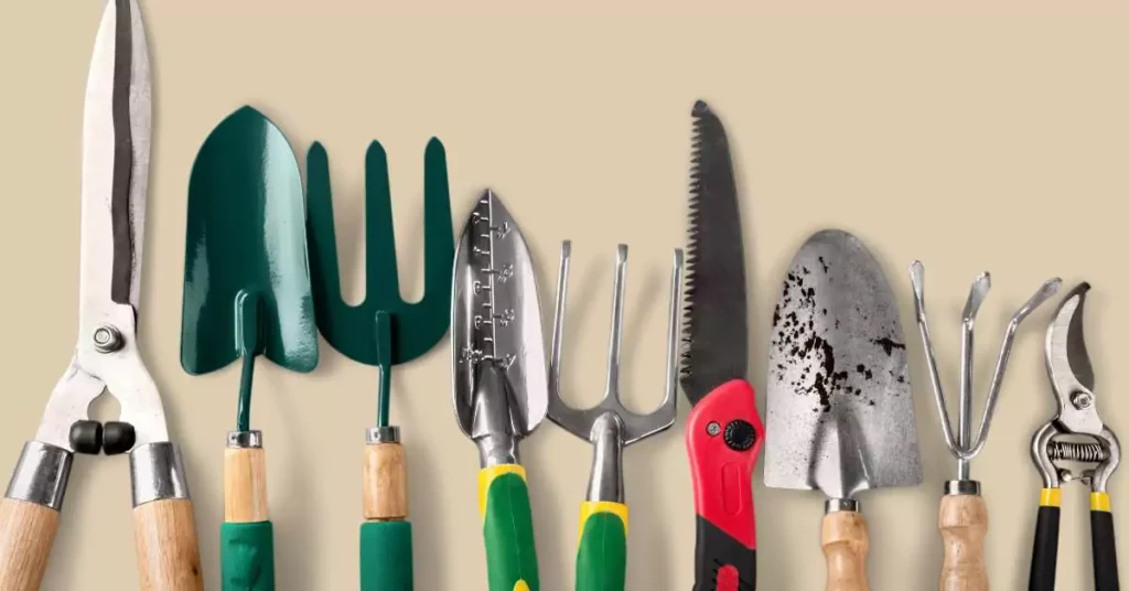 Optimal Pruning Guide: How & When to Prune Fruit Trees Pruning tools