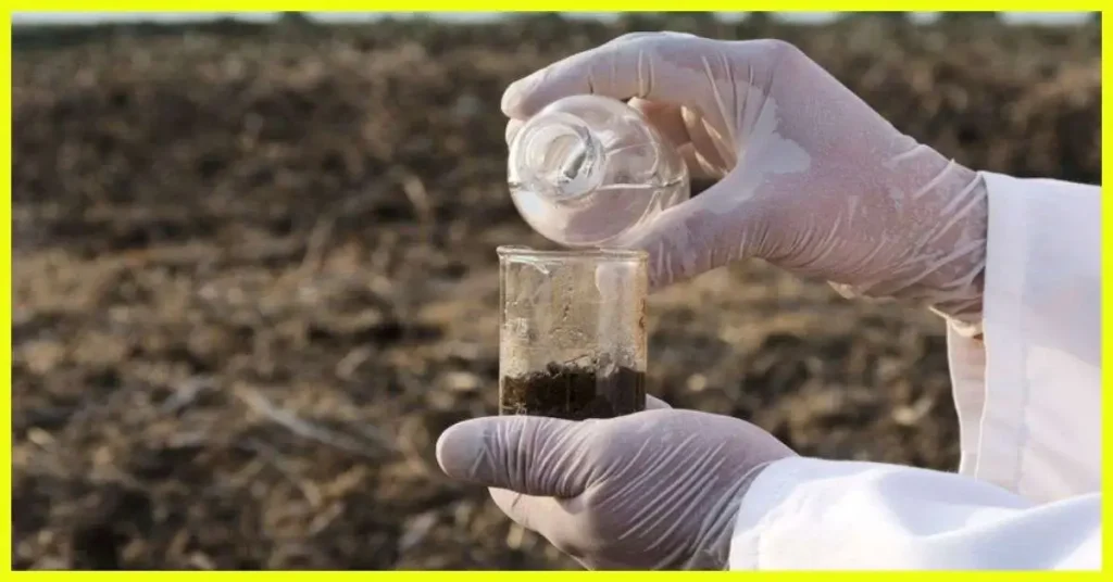 Soil Requirement for Growing Carrots and Beets Testing Soil for Growing Carrots and Beets