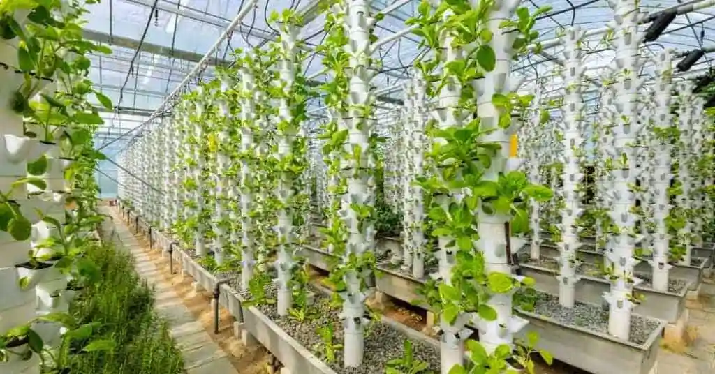 Vertical hydroponic system