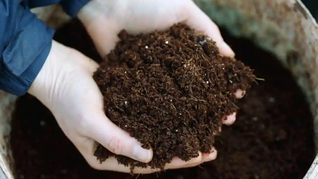 Hand full of composting