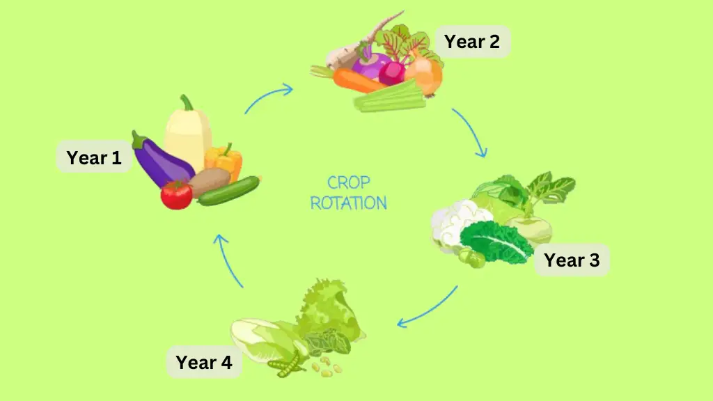 Crop rotation every year