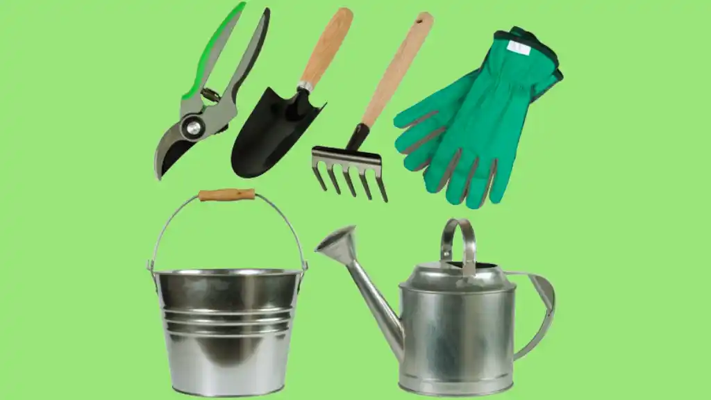 Collection of garden tools