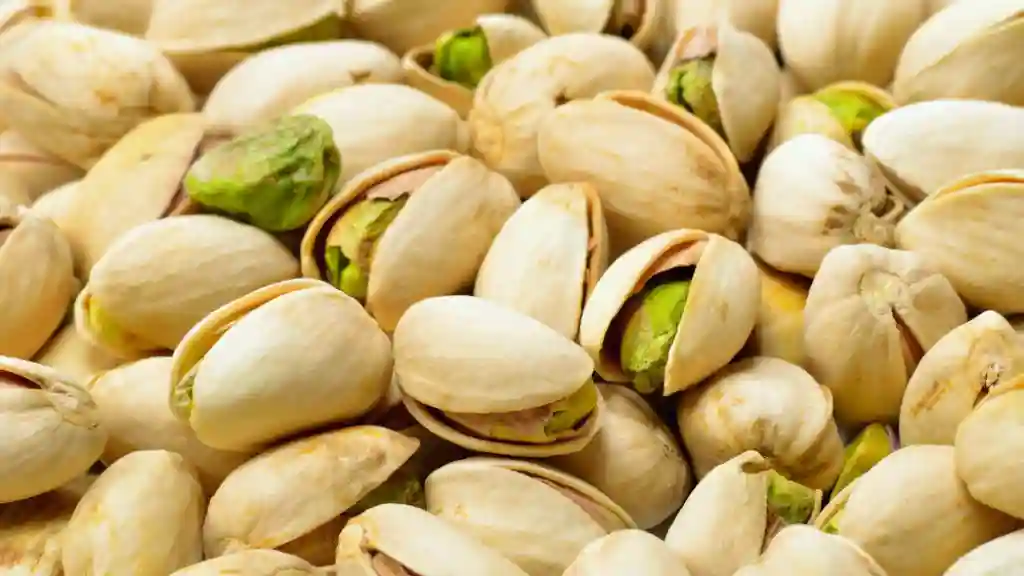 Harvesting pistachios nut