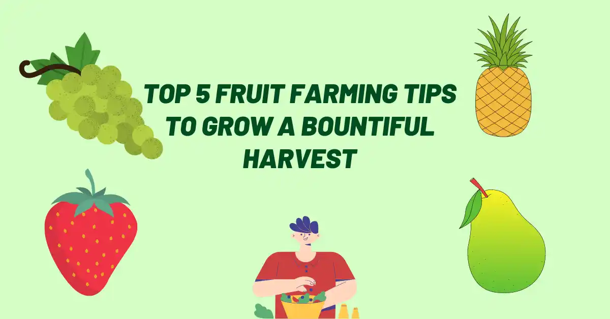 Top 5 Fruit Farming Tips