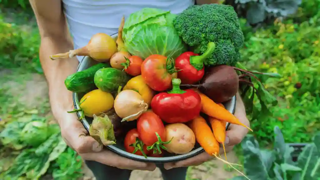 Harvest vegetables and fruits