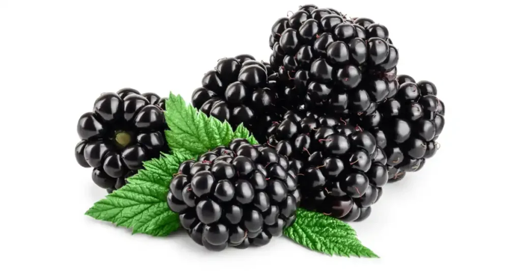 Blackberries