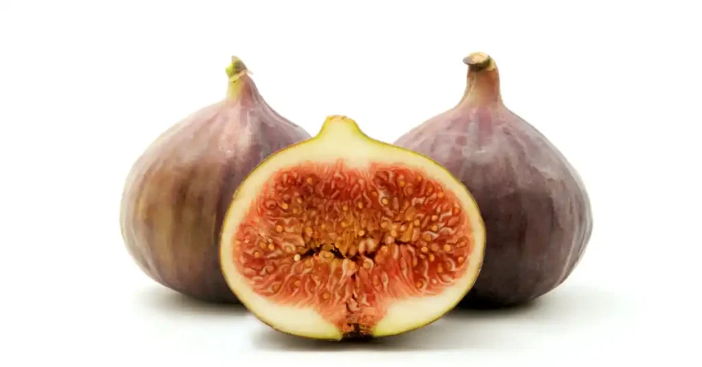 Brown Turkey fig