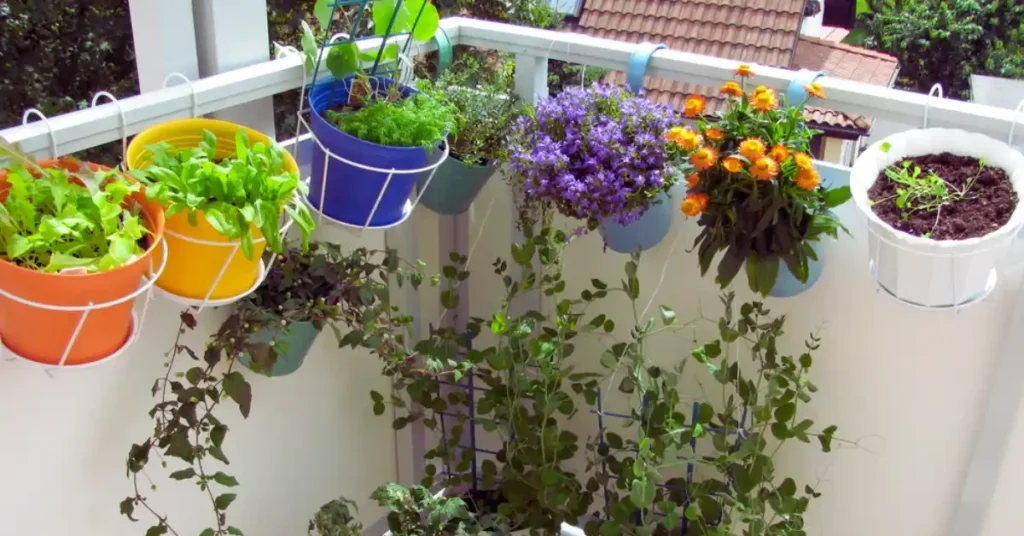Hanging herb container garden ideas