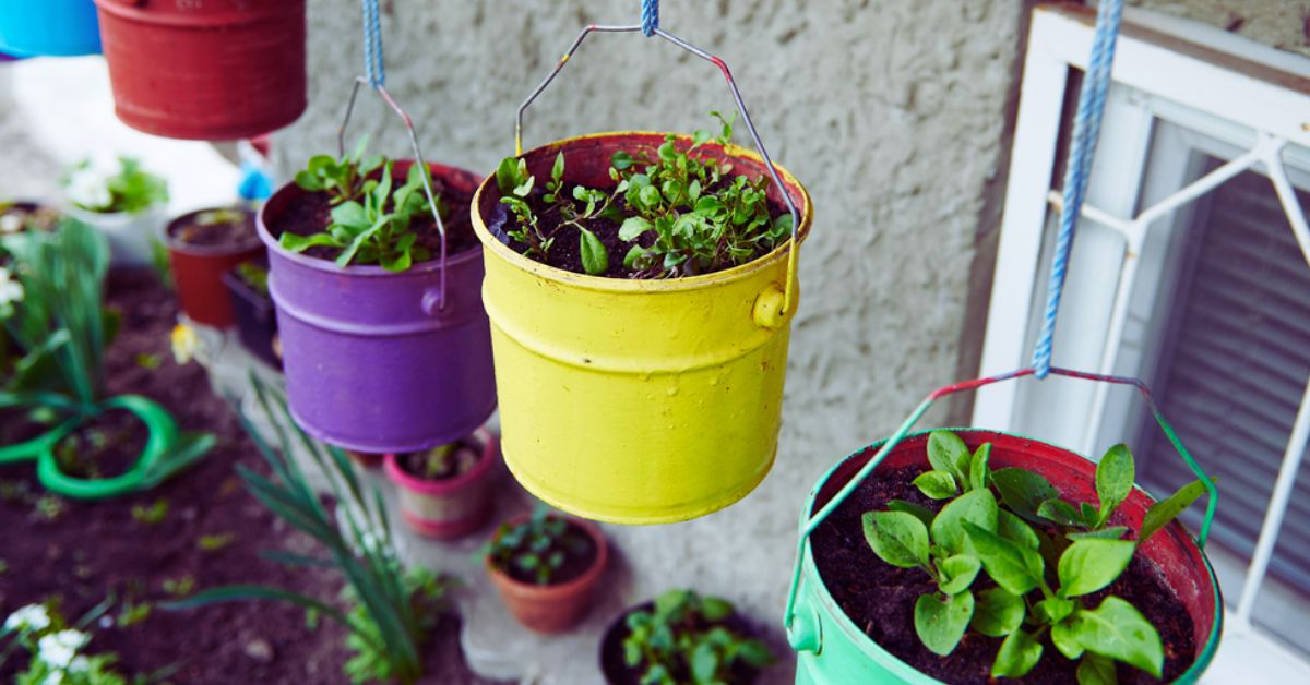 Herb container garden ideas