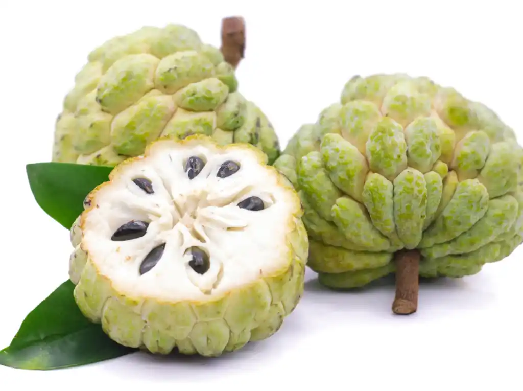 Ripe sugar apple