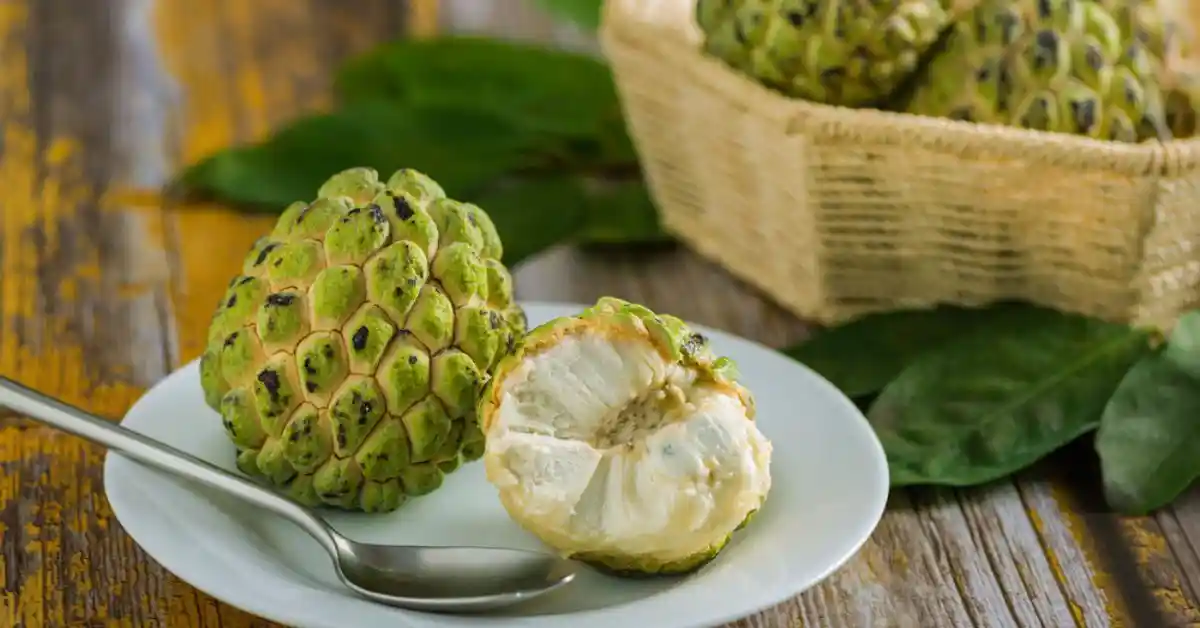 How to Eat a Custard Apple: A Delicious Guide to Enjoying This Exotic Fruit How to eat a custard apple