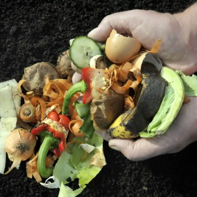 Compost tea and biofertilizers