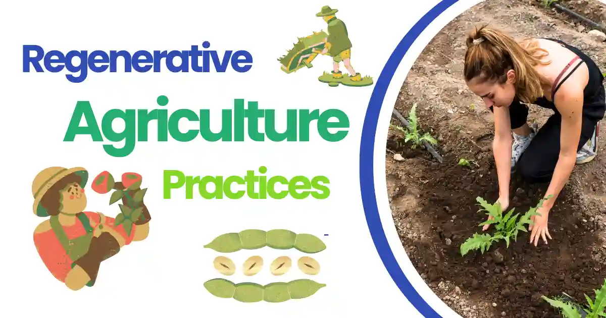 Regenerative agriculture practices