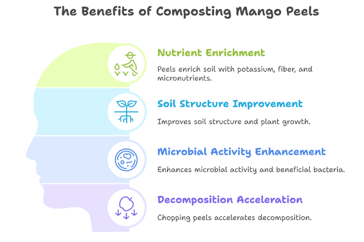 Is Mango Peel Good for Compost? (Benefits & How to Use It) Benefits of composting mango peels