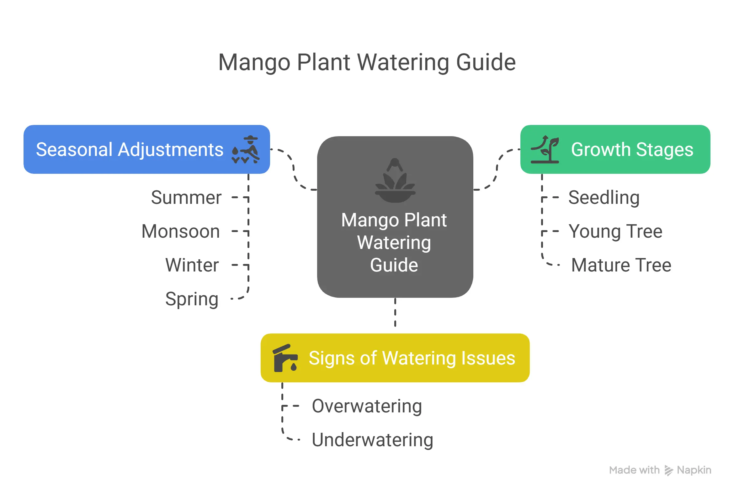 How often to water a mango plant