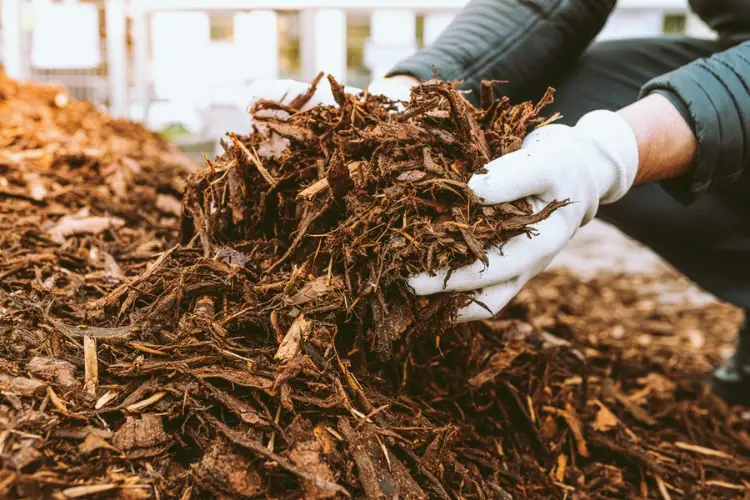 Mulching Mulching