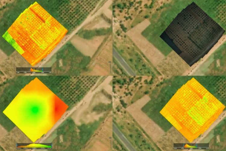 An NDVI map of a field, showing red problem areas amidst green health An NDVI map of a field, showing red problem areas amidst green health