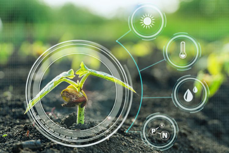 Precision farming Precision farming