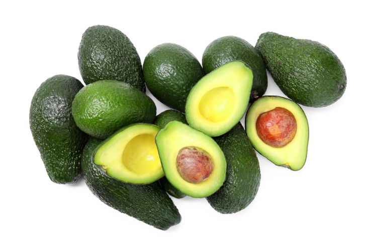 Avocado fruit 
