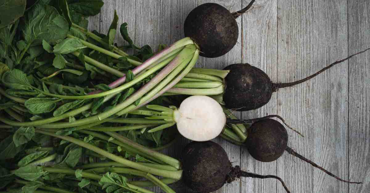 Black root vegetables