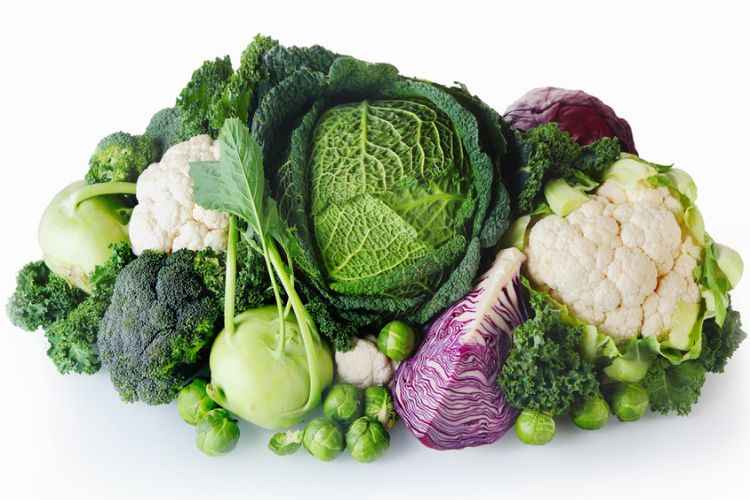 Cruciferous Vegetables Cruciferous Vegetables on a white background