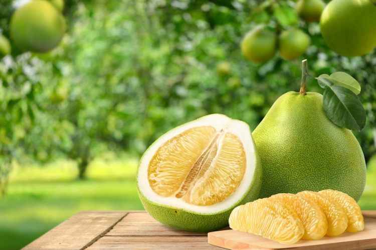 Pomelo fruit