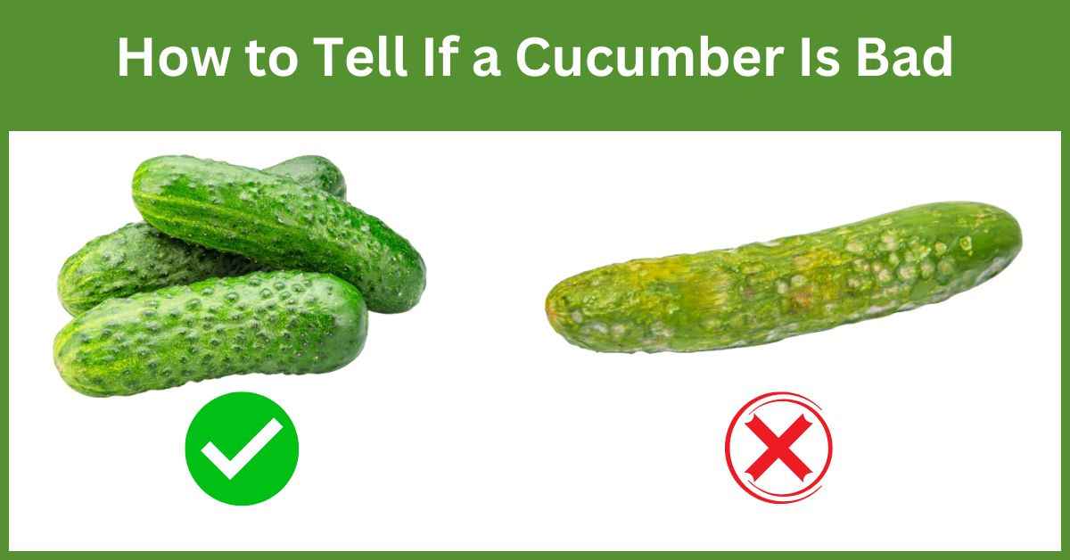 How to Tell If a Cucumber Is Bad