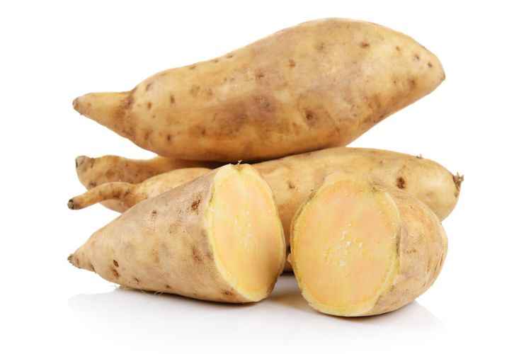 Sweet Potato (Ipomoea batatas)