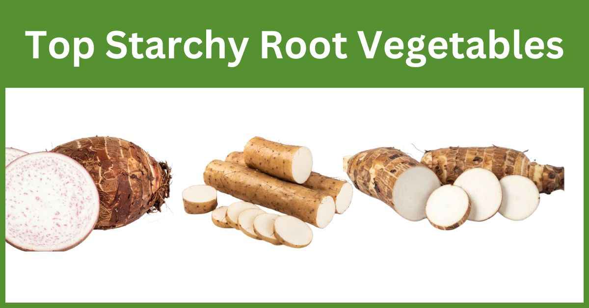 Top starchy root vegetables in Asia