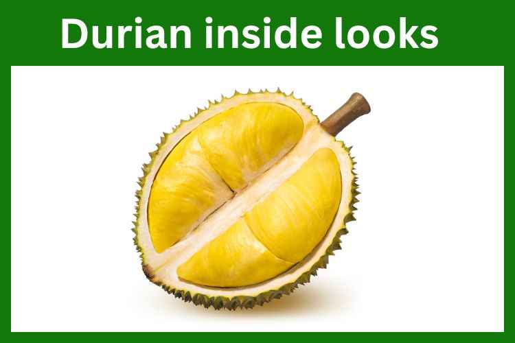 Durian fruit inside looks