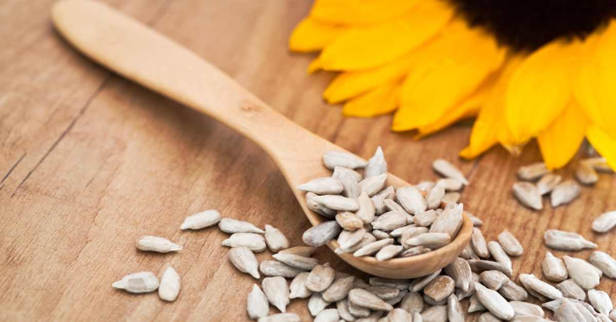 Full spoon of Sunflower seeds on the table