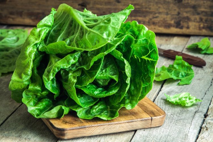 Is lettuce safe to eat
